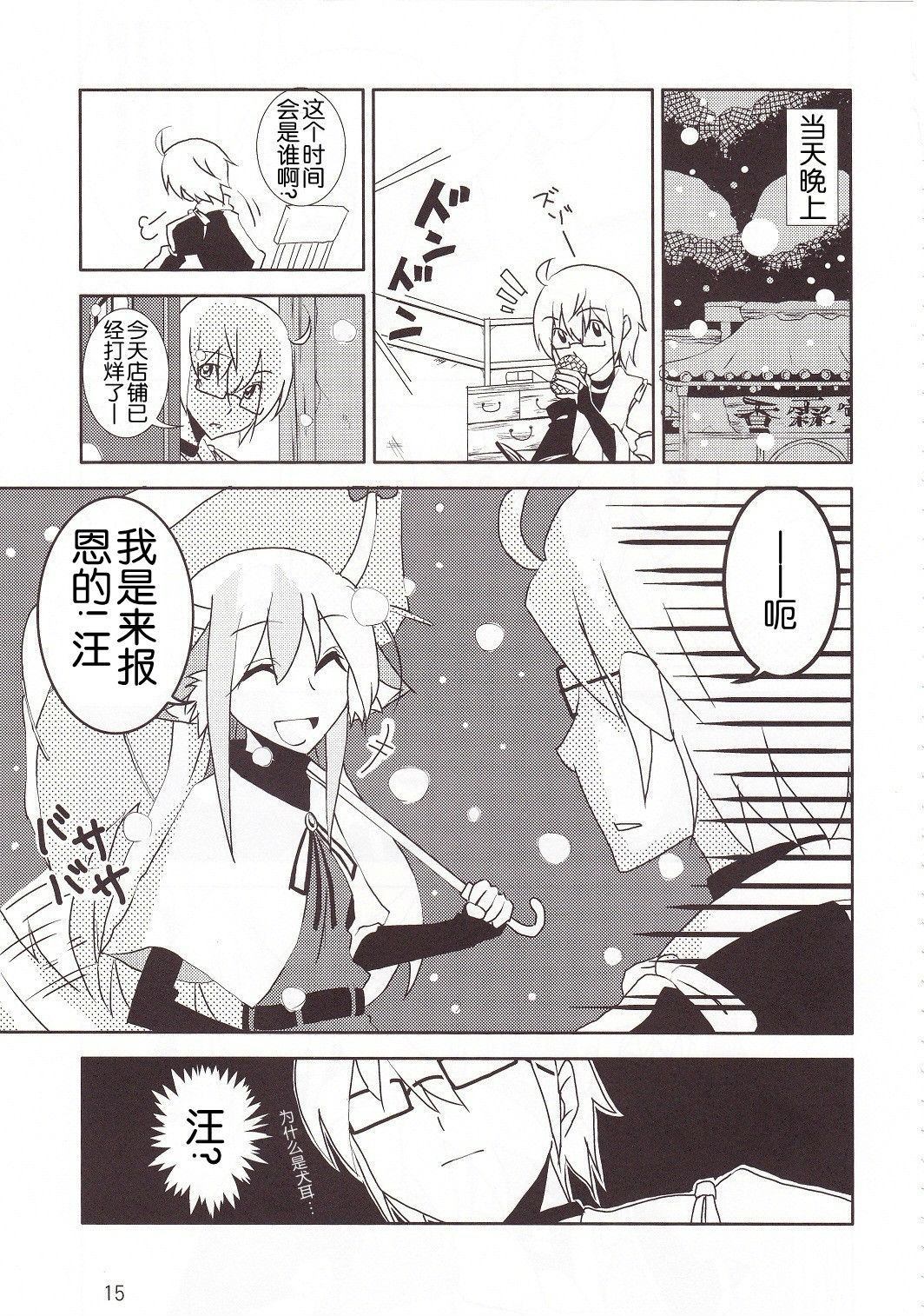 第13页