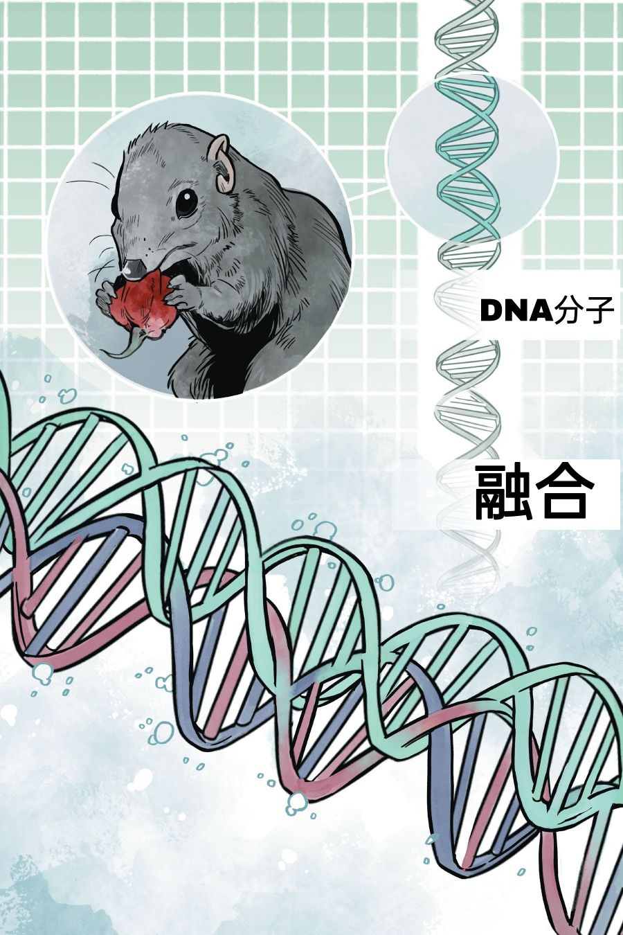 第72页